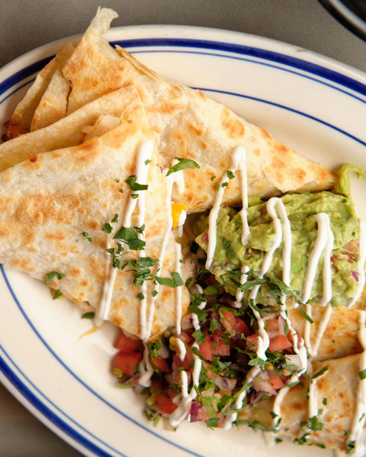 Chicken Quesadilla